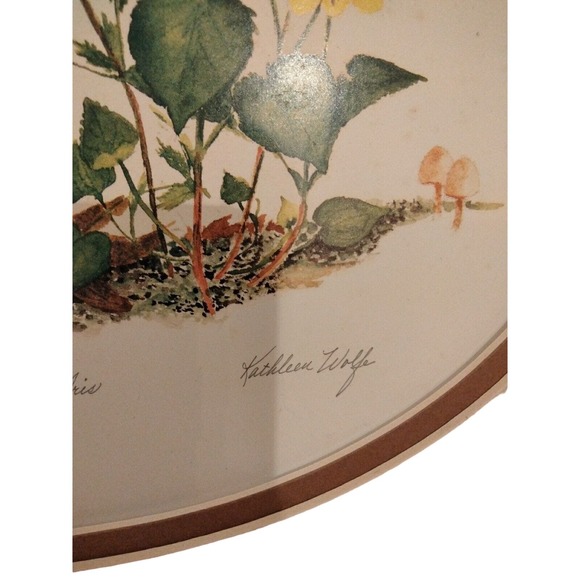 Kathleen Wolfe Crested Dwarf Iris Lithograph 28/350 Signed 10" X 13" - Picture 3 of 8